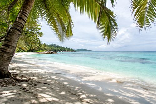 Tropical Beach
